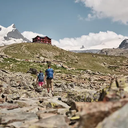 Forest- Finest Selections By Inspiringplaces * Zermatt
