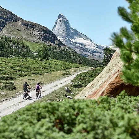 Forest- Finest Selections By Inspiringplaces * Zermatt